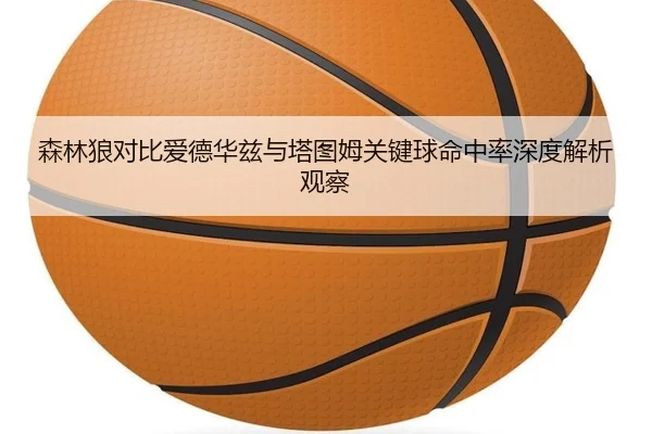 森林狼对比爱德华兹与塔图姆关键球命中率深度解析观察