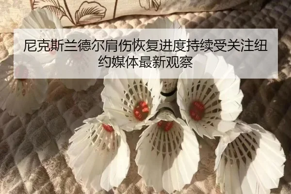 尼克斯兰德尔肩伤恢复进度持续受关注纽约媒体最新观察