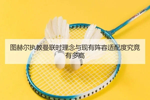 图赫尔执教曼联时理念与现有阵容适配度究竟有多高